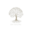 zenhealingweb.pages.dev favicon